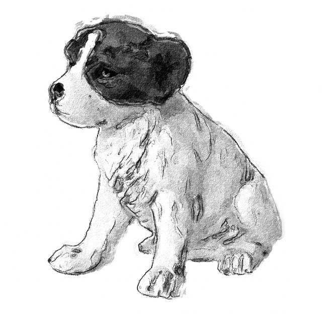 Sketch of a Young Puppy Sketch of a Young Puppy