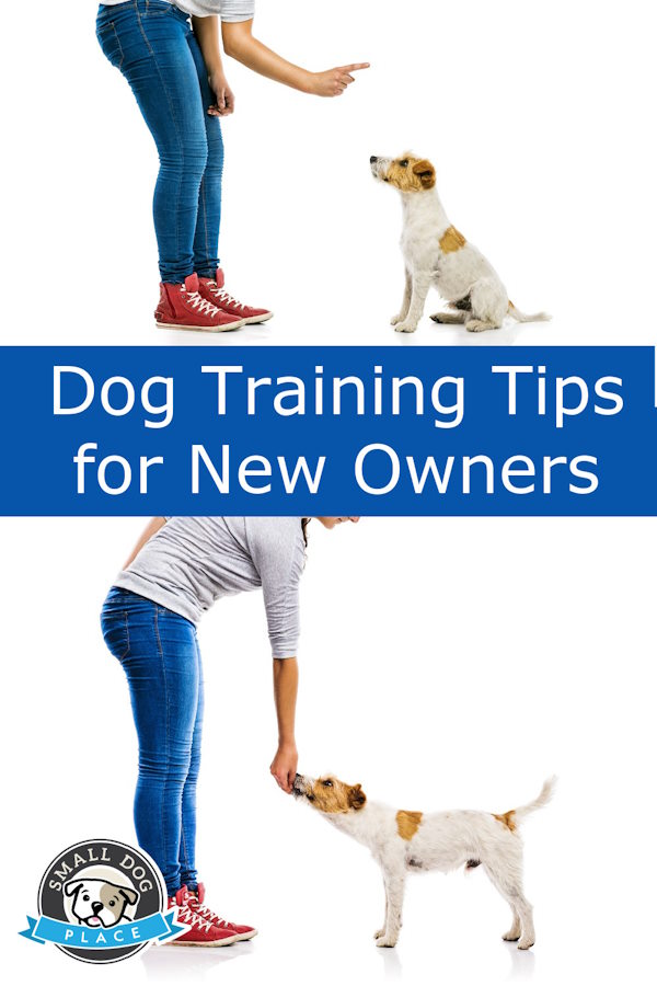 Two photos of a woman training her dog on a pin image