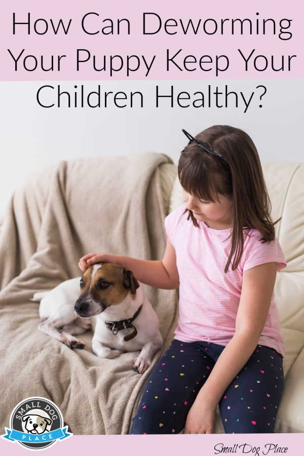 Deworming your puppy can protect your child. Child and Dog
