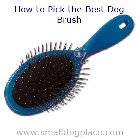 How to Pick the Best Brush for Your Dog