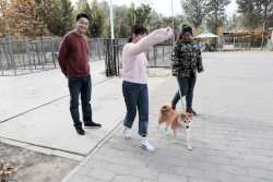 Is Your Doggie Daycare Safe for Your Dog? Link to the article.