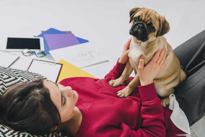 A woman is holding her pet Pug