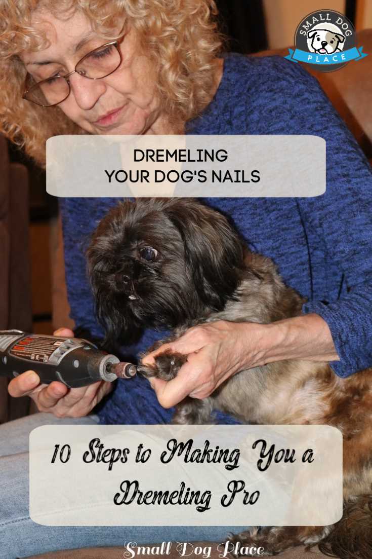 Dremeling your dog's nails