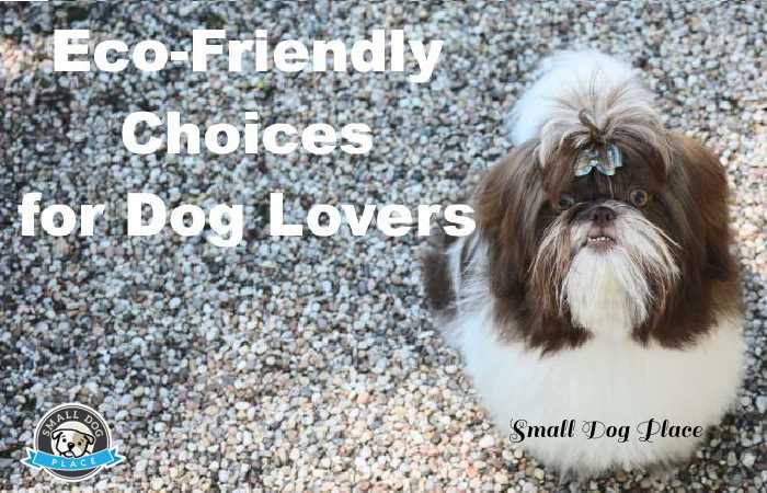 Shih Tzu dog is sitting on a pebble path