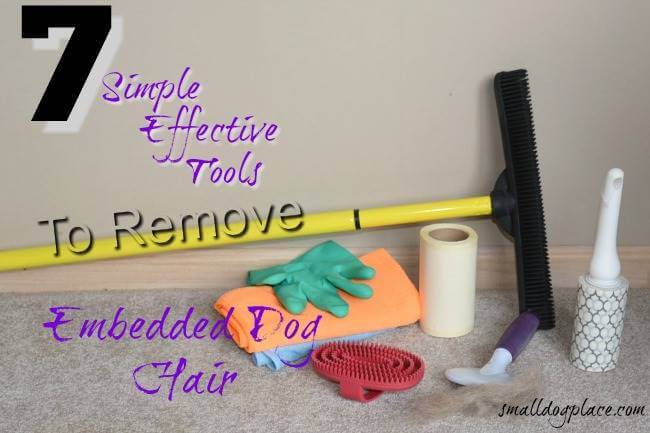 7 tools to remove embedded pet hair
