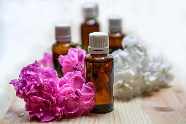 Essential Oils for Dogs