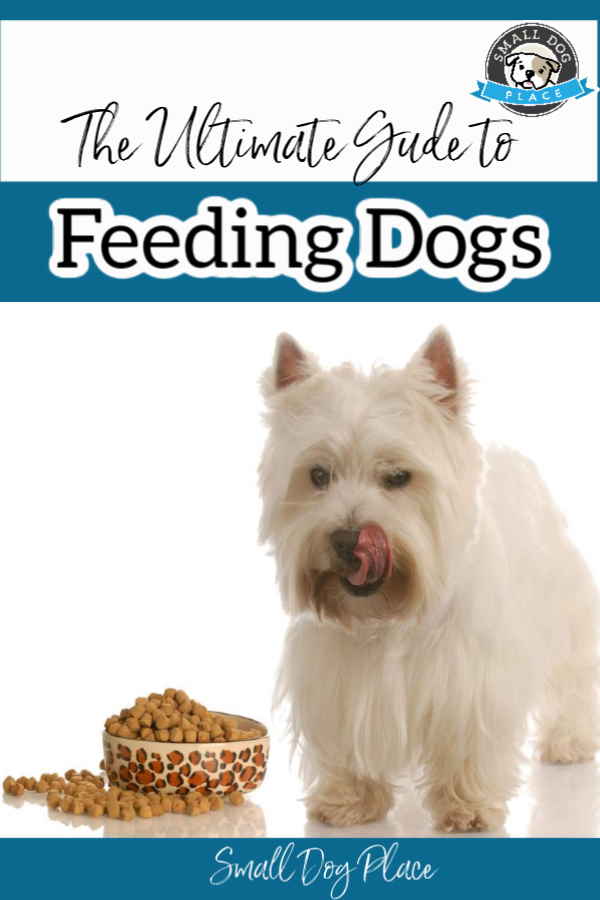 Feeding Dogs Pin Feeding Dogs Pin