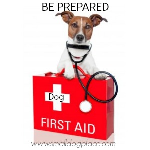 A First Aid Kit will come in handy should anything happy while on your dog friendly road trip.