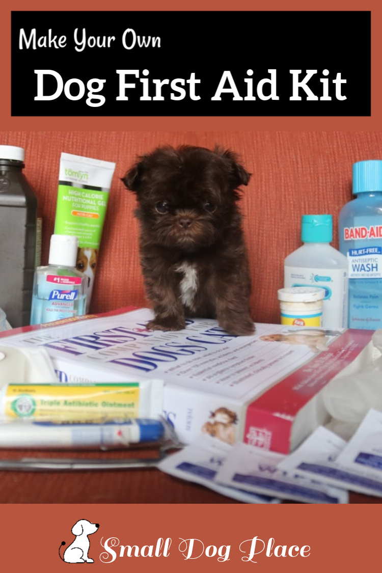 Canine First Aid Kit Pin