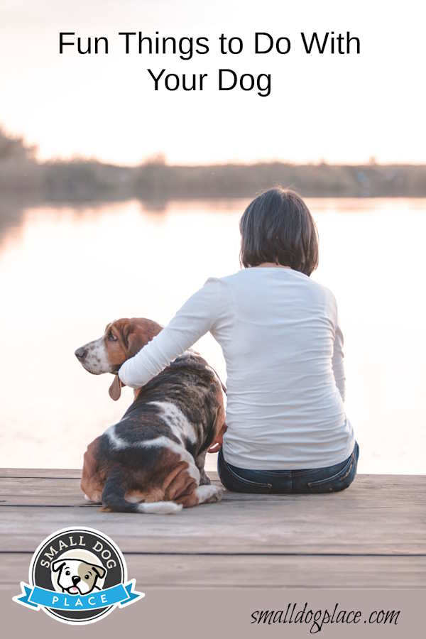 Fun Things to Do with Your Dog Pin Image