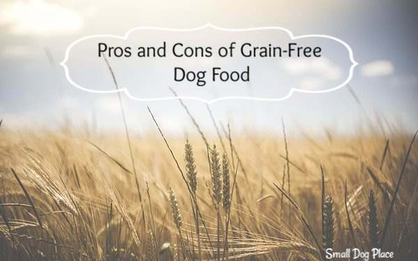 Pros and Cons of Grain Free Dog Food