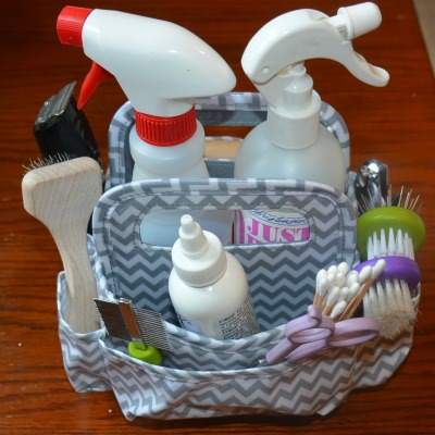 Organize your puppy stuff with a tote filled with grooming equipment