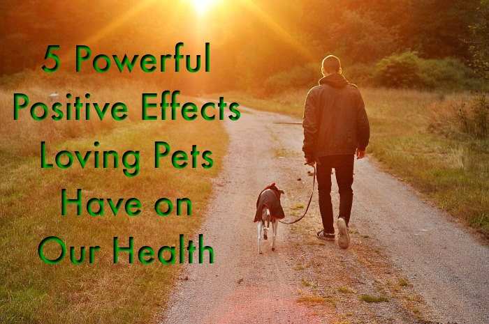 Health Benefits of Dogs
