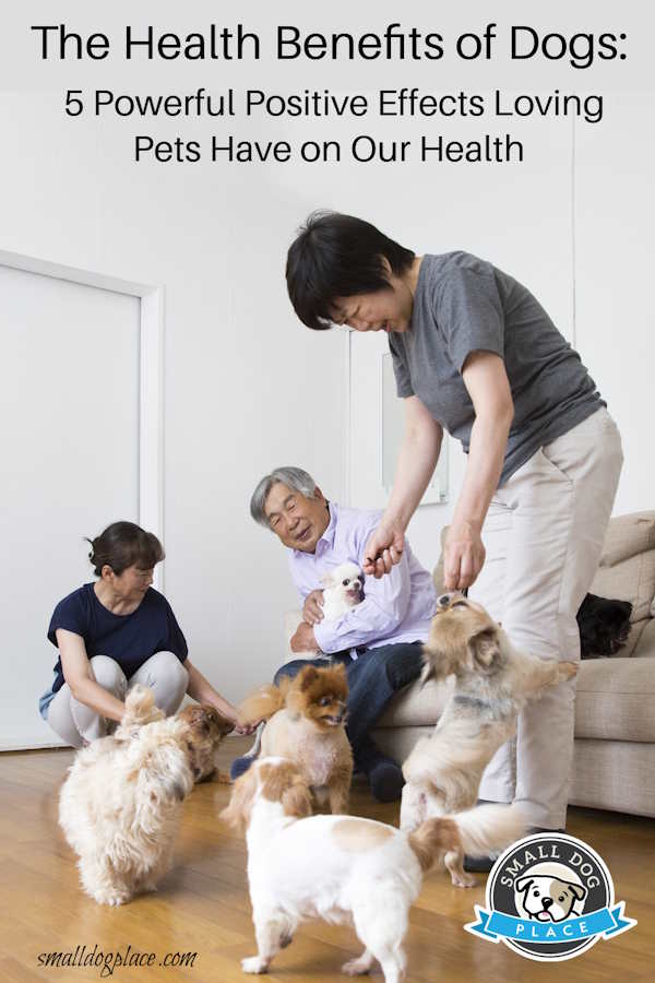 The Health Benefits of Pets:  Pin Image-600-900px
