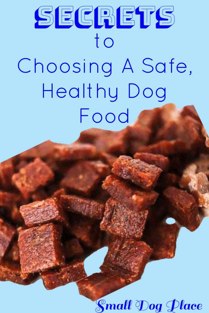 Secrets to Choosing a Safe, Healthy Dog Food