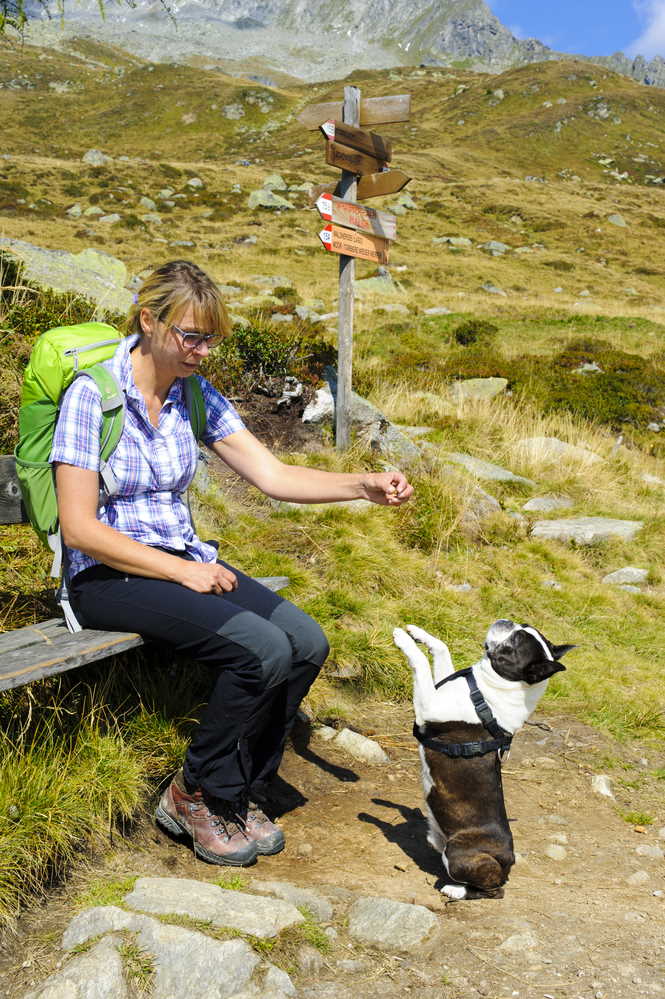 A woman wearing a backpack on a trail with her small dog.