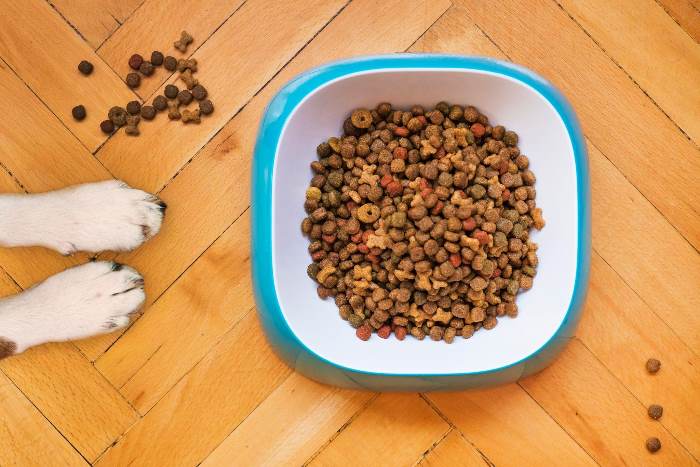 Dog Food shown in the bowl with two dog paws to the side