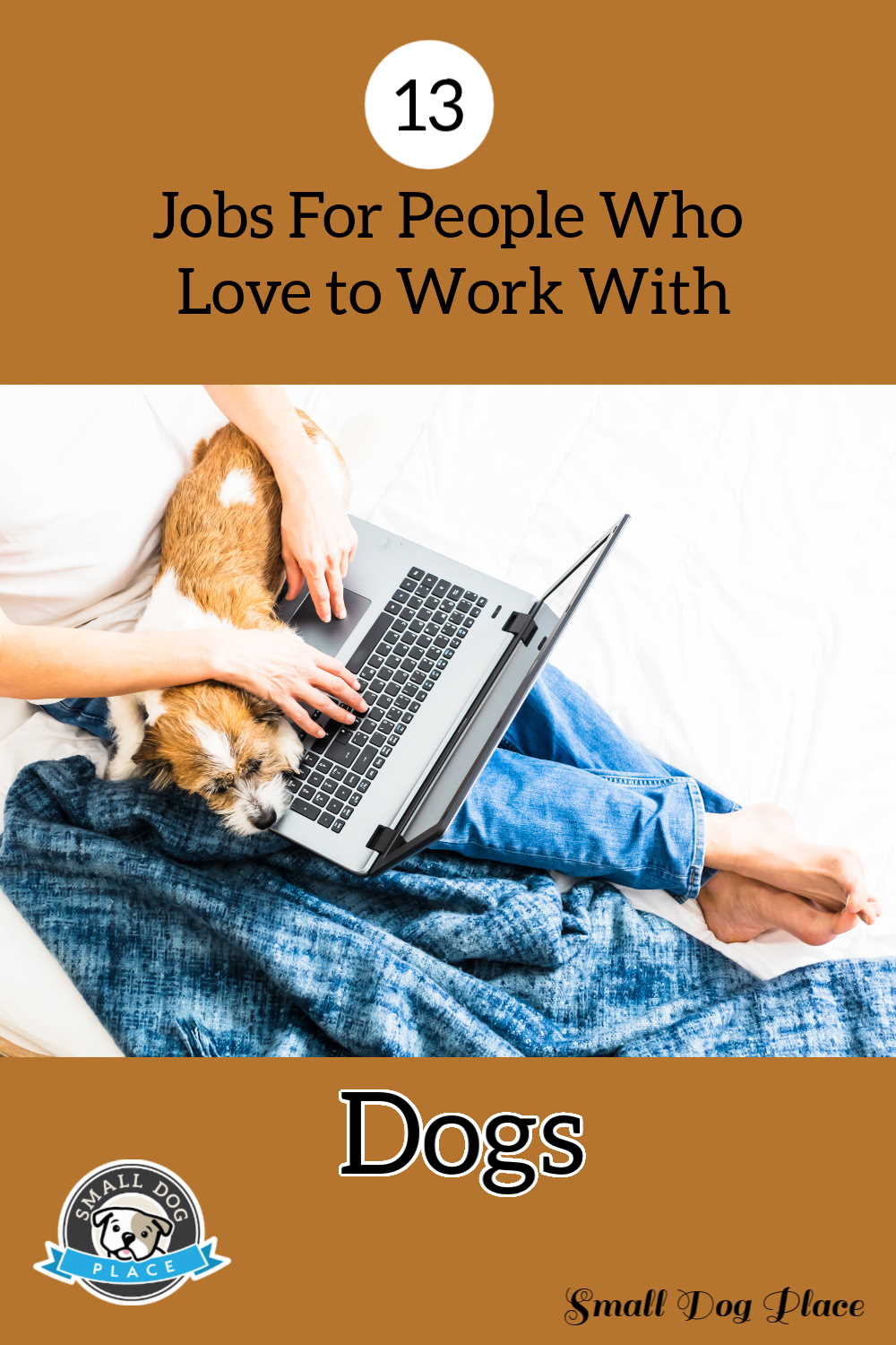 A man is working on his computer as he holds his dog.