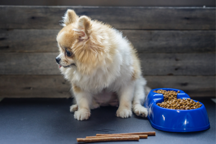 Not eating is a symptom of Leptospirosis