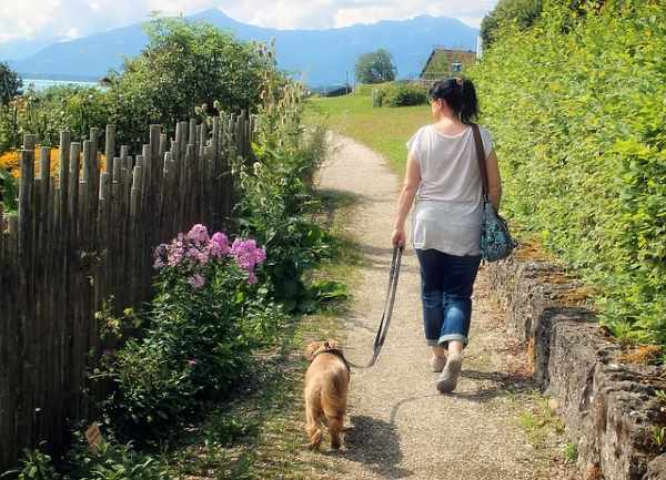 A woman is walking her small dog down a country path.