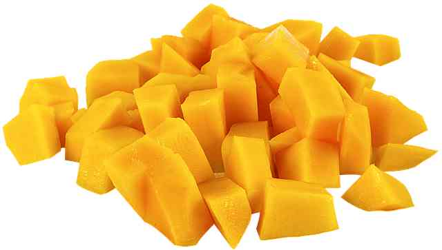 What fruits can my dog eat?  Mango