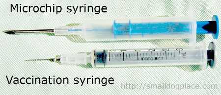 Size comparison of a microchip needle Size comparison of a microchip needle