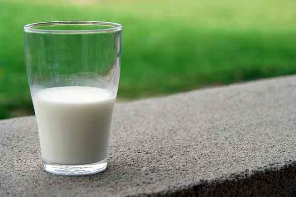 Milk is normally not recommended for dogs because they can't digest lactose.  A bit of milk, however, acts as a laxative.