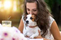 7 Reasons Why Millennial Moms Love Small Dogs Link