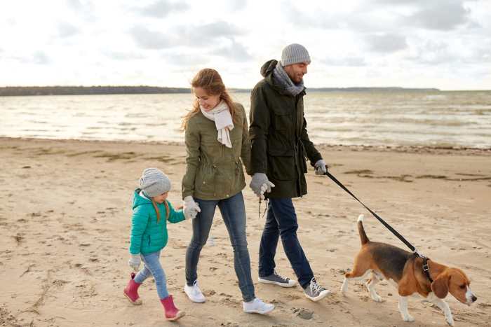 A family is walking their dog on the beach in the Autumn.