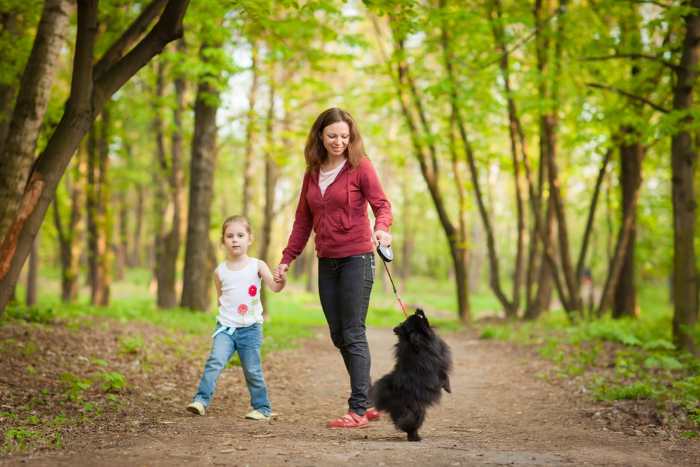 A young mother and daughter are taking their black dog for a walk.