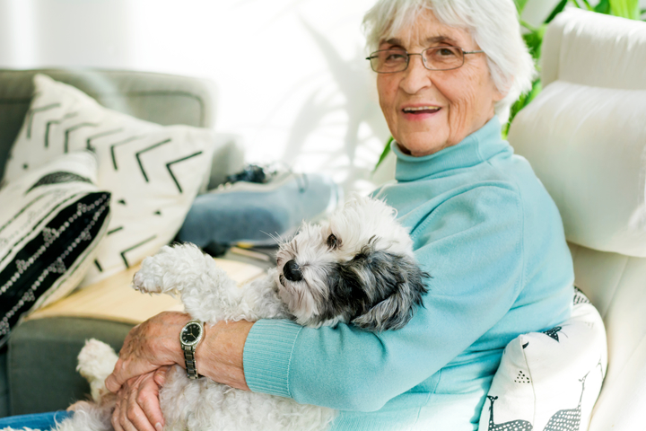 An older woman is holding a small dog and trying to help him relax.
