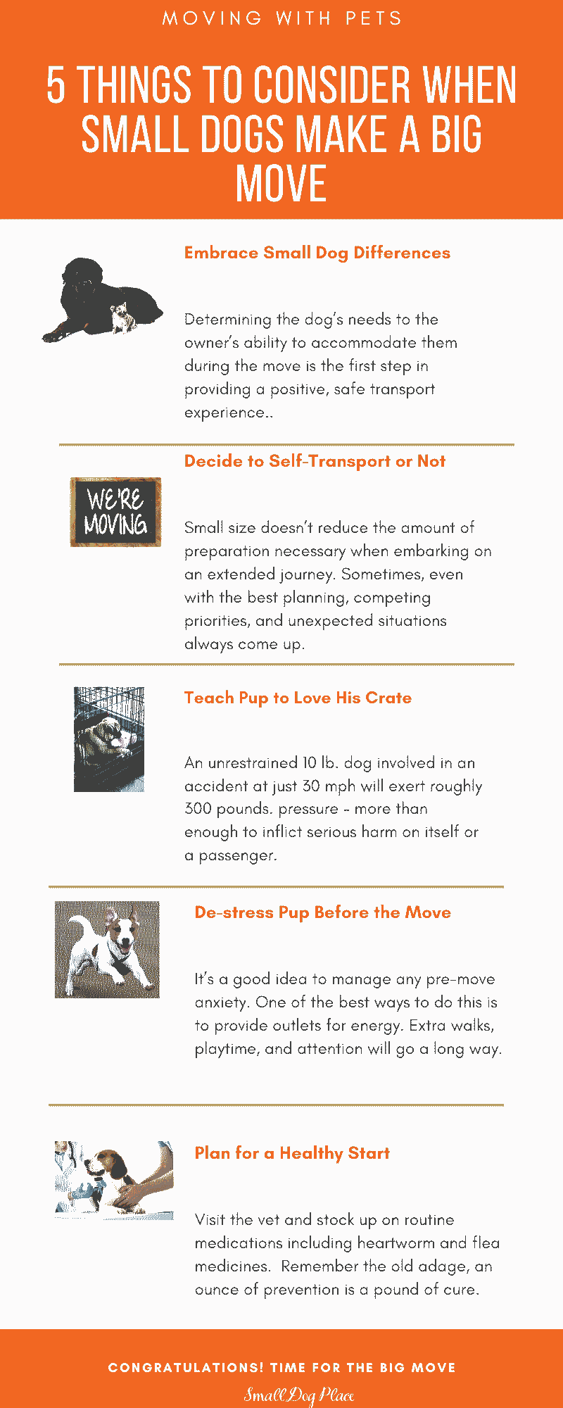 Moving with Pets Infographic Moving with Pets Infographic