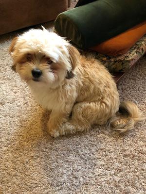 Do I have to sit still?