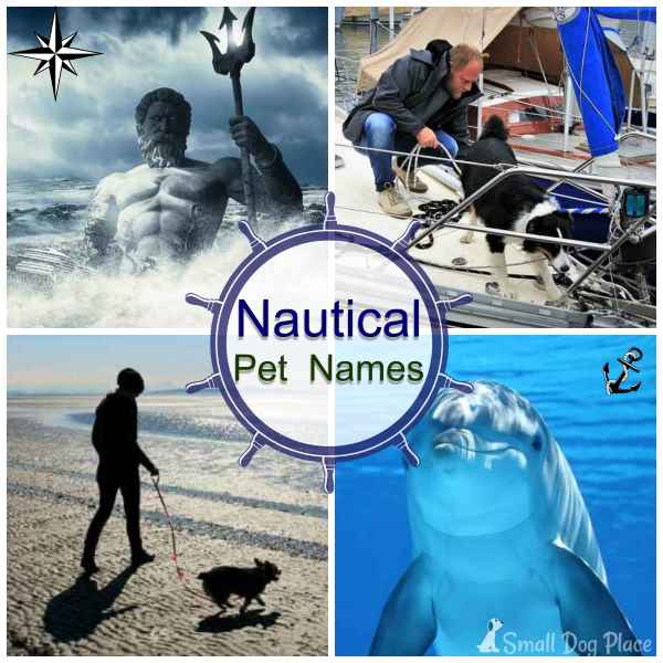 Nautical Pet Names