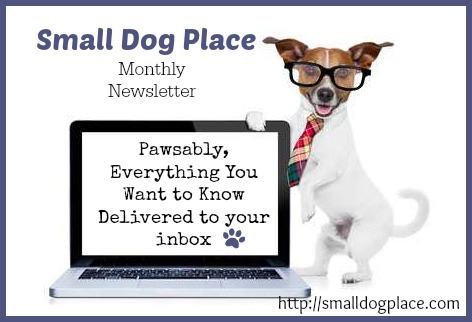 Small Dog Place Monthly Newsletter
