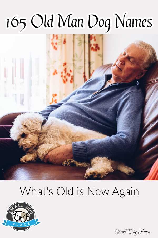 over-200-old-man-dog-names-what-s-old-is-new-again