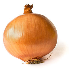 Dogs Should not Consume onions. Dogs Should not Consume onions.