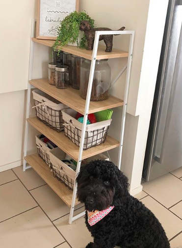 Organize your puppy stuff with decorative containers