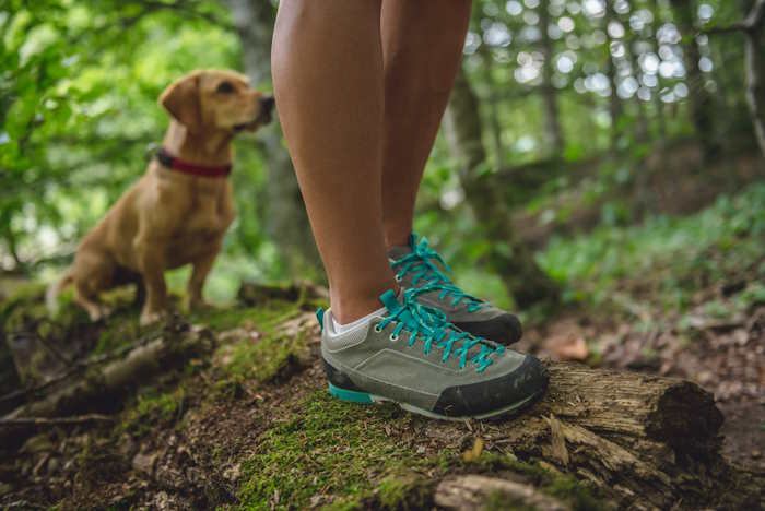 A woman's shoes are shown on a hiking trail with her dog.