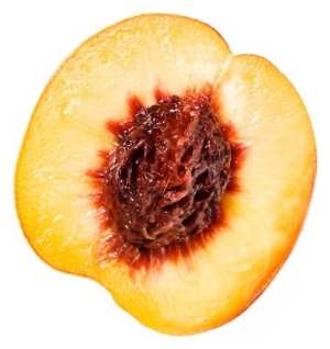 The seeds or pits of fruits like peaches are dangerous to dogs.