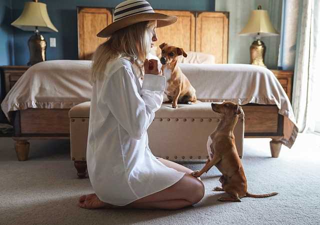 A woman is playing with her two small dogs in her bedroom.