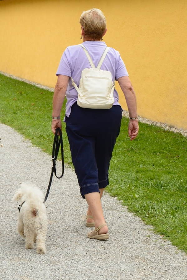 A woman is walking away from the camera with her small white dog.