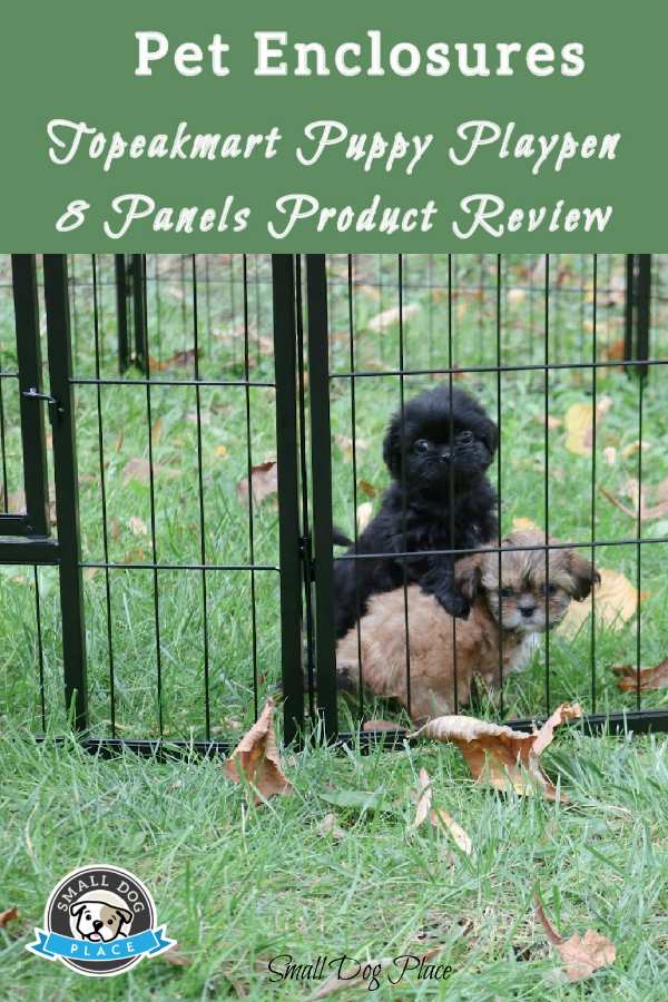 Two young puppies are playing outside in their puppy playpen