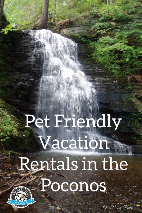 Pet Friendly Vacation Rentals in the Poconos Pin Image