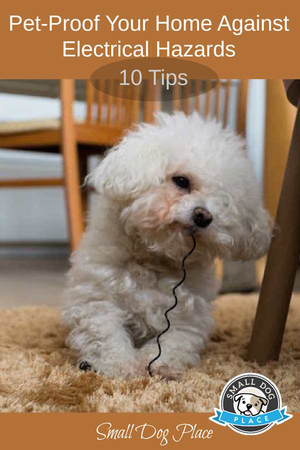 Pet Proof your home against electrical hazards, pin for future reference