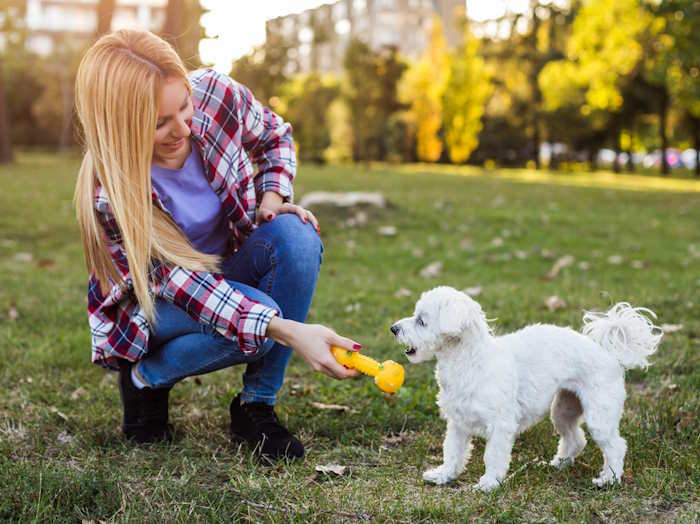 Provide enough entertainment to your puppy to prevent them from chewing electrical cords.