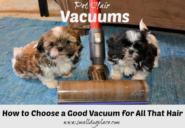 How to Choose the best pet vacuum for your home.  Two puppies are sitting beside a well-worn vacuum.