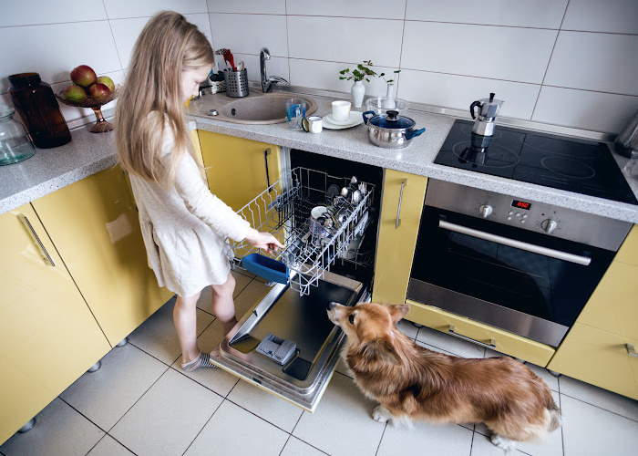 Protecting Your Dog in the Kitchen A child and small dog are in a kitchen