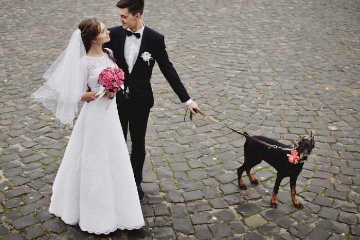 A Bride and Groom with their dog on a leash.