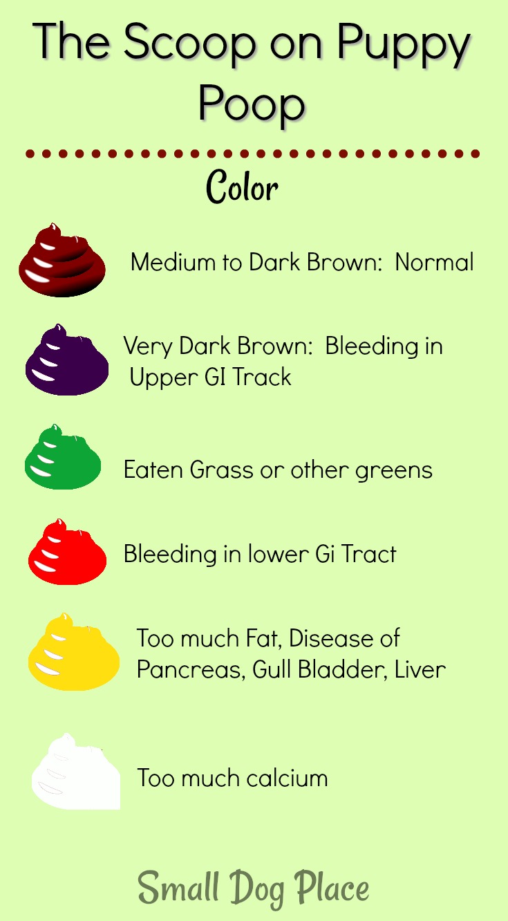 Puppy Stool Chart